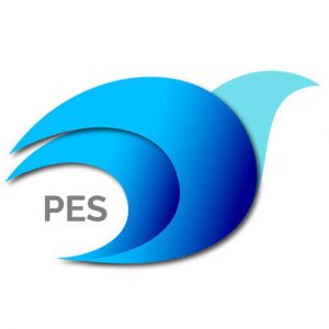 Icon-web-puleyes-Puley-Enterprise-Services-01