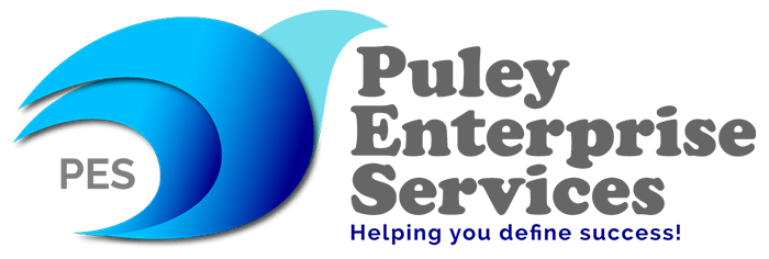 puleyes-Puley-Enterprise-Services-web-logo-01